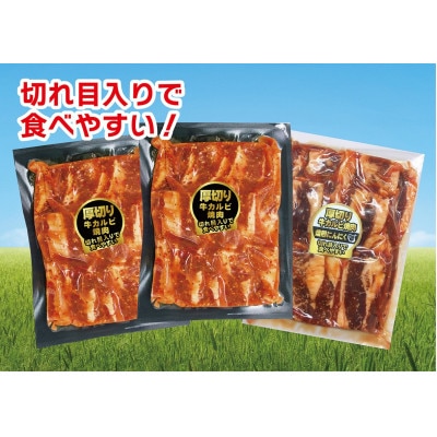 焼肉　厚切り牛カルビ2種　計3袋セット【配送不可地域：離島】