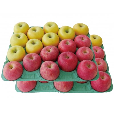 りんご サンふじ＆シナノゴールド 家庭用 計10kg (各約5kg)【配送不可地域：離島・沖縄県】