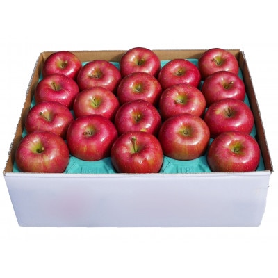 りんご 葉取らずりんご (サンふじ) 約5kg【配送不可地域：離島・沖縄県】