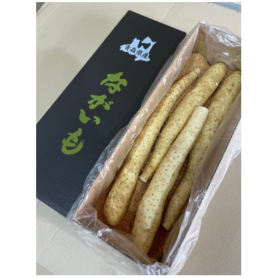 青森県産「ながいも」約5kg(3L～4Lサイズ×4本入り)