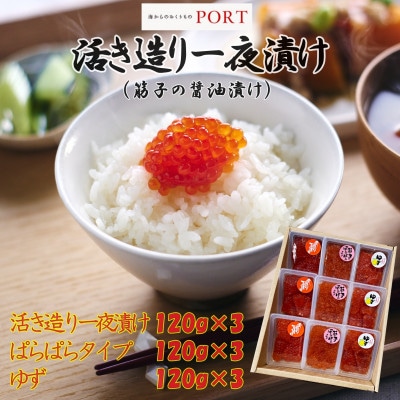 一夜漬けのポート詰め合わせギフト「ひまわり」  120g×9パック【配送不可地域：離島】