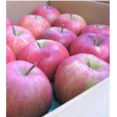 【大玉】青森市産りんご「葉取らずサンふじ」約5kg【家庭用】【配送不可地域：離島】