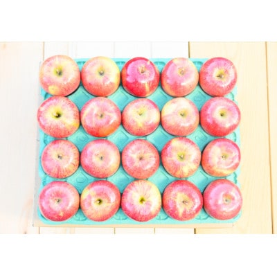 【CAりんご】糖度13度以上保証有袋ふじ約5kg訳あり家庭用【配送不可地域：離島・沖縄県】