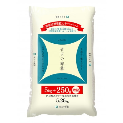 期間限定　青天の霹靂　精米　5.25kg
