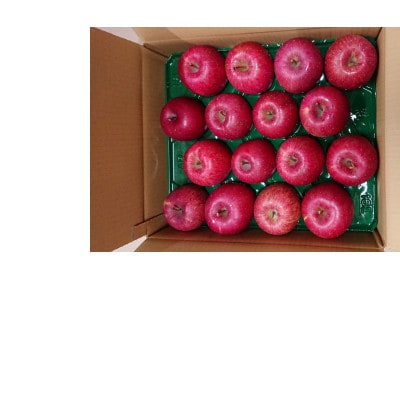 青森県産　弘前ふじ 約5kg (約14～20個)家庭用訳あり【配送不可地域：離島】