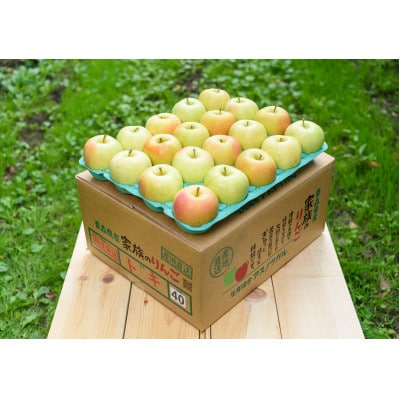 【青森市産】糖度12度以上保証!訳ありトキ家庭用約10kg【配送不可地域：離島・沖縄県】