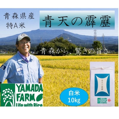【さつき米】青森県産米「青天の霹靂」白米 10kg
