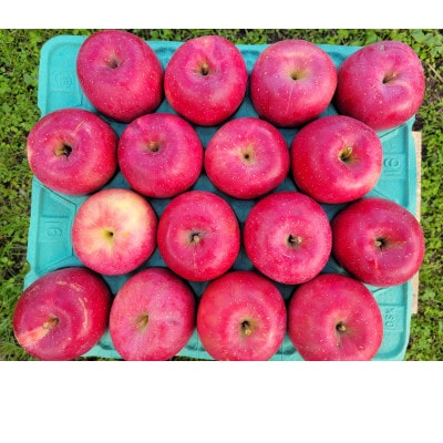 【訳あり】青森県産りんご「早生ふじ 家庭用」約5kg　産地直送!【配送不可地域：離島】