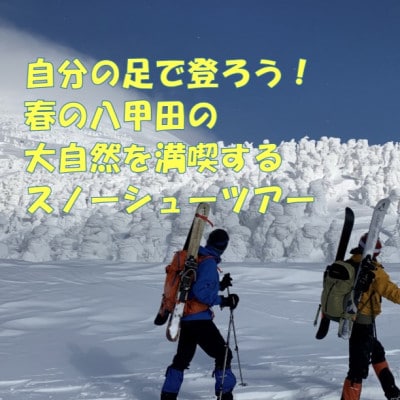 自分の足で登ろう!春の八甲田の大自然を満喫するスノーシューツアー1名様【体験時間:約6時間】