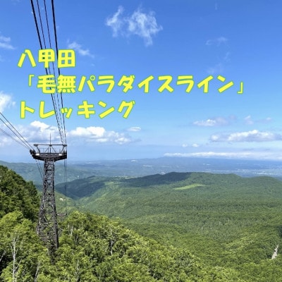 八甲田「毛無パラダイスライン」トレッキング1名様【体験時間:約5時間】