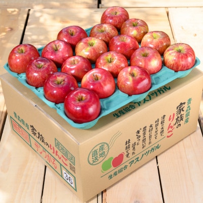 【2025年9月発送予定】平均糖度12度以上! 葉とらずサンつがる 約3kg 訳あり クール便【配送不可地域：離島・沖縄県】