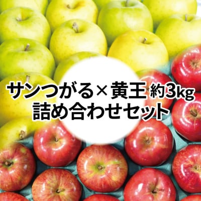 【25年8月より順次発送】糖度12度以上保証! 黄王×サンつがる 約3kg 訳あり クール便【配送不可地域：離島・沖縄県】