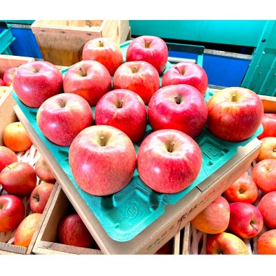 【2025年12月発送予定】平均糖度13度以上! 葉とらずサンふじ 約3kg 訳あり【配送不可地域：離島】