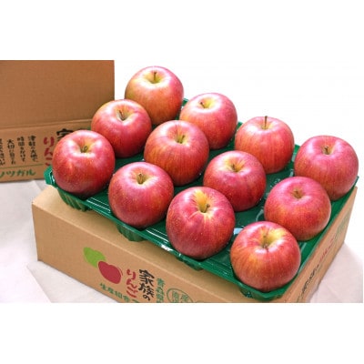 【2025年12月発送予定】糖度13度以上保証!シナノスイートおもてなし用約3kg(6～18玉)【配送不可地域：離島】