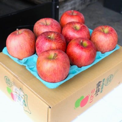 【2025年12月発送予定】糖度13度以上保証!サンふじおもてなし用約3kg(6～18玉)【配送不可地域：離島】