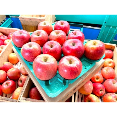 【2026年1月発送予定】平均糖度13度以上! 葉とらずサンふじ 約3kg 訳あり【配送不可地域：離島】