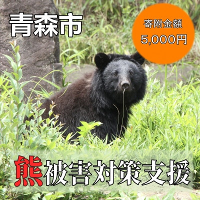 【返礼品なし】クマによる被害を防ぐ～クマ対策へのご支援を～　5,000円