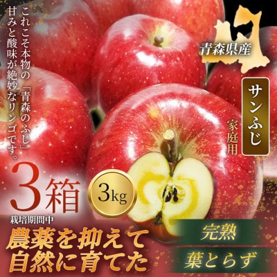 【青森直送 季節の味覚をお届け!】サンふじ 3kg×3箱(家庭用)青森産 産地直送 限定生産【配送不可地域：離島】