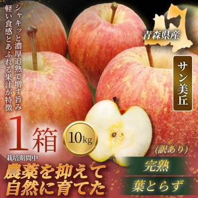 【青森直送 季節の味覚をお届け!】サン美丘 10kg×1箱(訳あり)青森産 産地直送 限定生産【配送不可地域：離島】