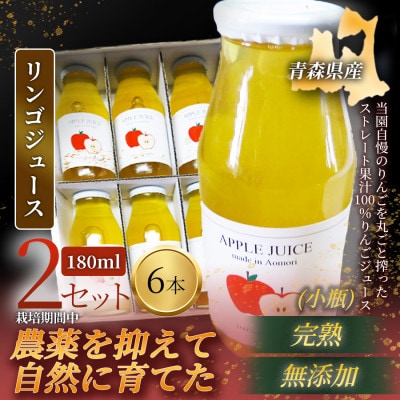 【栽培期間中農薬を減らしたりんごを丸ごと使用!】リンゴジュース(180ml×6本)×2セット 青森産