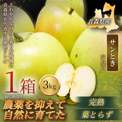 【青森直送 季節の味覚をお届け!】サンとき 3kg×1箱(家庭用)2026年産 産地直送 限定生産【配送不可地域：離島】