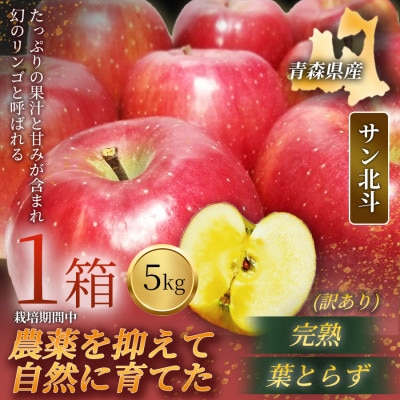 【青森直送 季節の味覚をお届け!】サン北斗(幻のサン北斗)5kg×1箱(訳あり)青森産 産地直送【配送不可地域：離島】