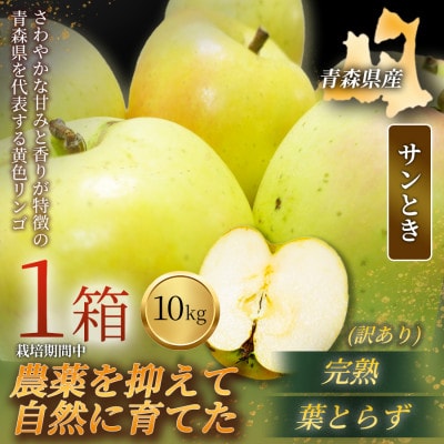 【青森直送 季節の味覚をお届け!】サンとき 10kg×1箱(訳あり)2026年産 産地直送 限定生産【配送不可地域：離島】