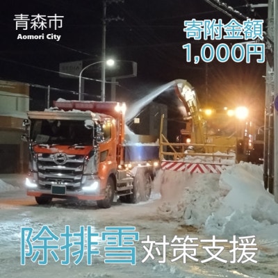 【返礼品なし】世界一の豪雪都市!雪に強い持続可能な都市づくり　1,000円