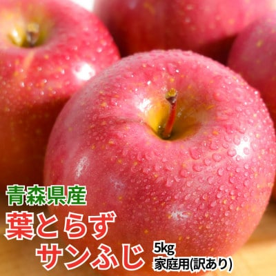 【26年4月出荷予定】平均糖度13度以上! 葉とらずサンふじ 約5kg 訳あり【配送不可地域：離島】