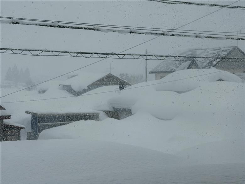 青森市令和8年1月青森地方大雪災害支援【返礼品なし】