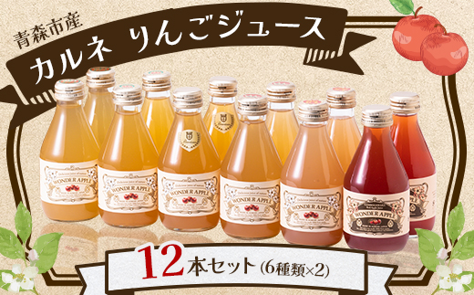 カルネ りんごジュース 12本セット