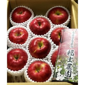 [訳あり] りんご 希少品種「紅の夢」 家庭用 約3kg (6〜12玉) [配送不可地域:離島]