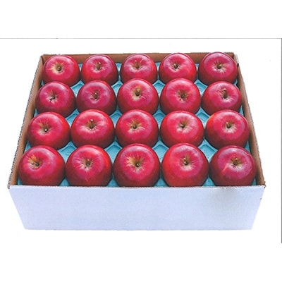 りんご 紅玉 スイーツ作りに 約5kg (20玉〜23玉) [配送不可地域:離島]