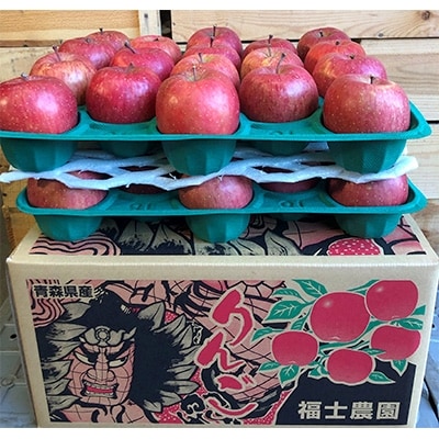 [訳あり] りんご サンふじ 家庭用 約10kg (28〜40玉) 糖度14度以上保証[配送不可地域:離島]