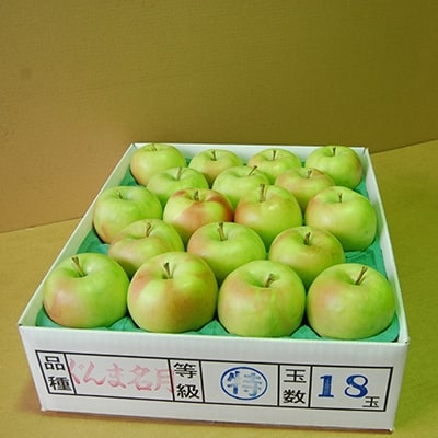 JA青森 青森県産りんご「ぐんま名月」約5kg[配送不可地域:離島]