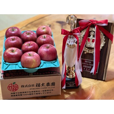 [訳あり] りんご 「シナノスイート」 家庭用 糖度14度以上保証 約3kg (8〜12玉) [配送不可地域:離島]
