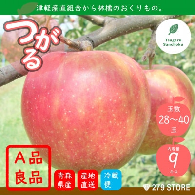 りんご つがる 2022年9月より順次発送 A品 9kg (28〜40玉) 津軽産直組合直送[配送不可地域:離島]