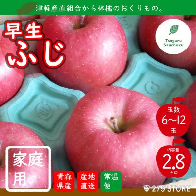 りんご 早生ふじ 先行受付 2022年産 青森県産 家庭用 2.8kg (6〜12玉) 津軽産直組合[配送不可地域:離島]