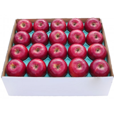 りんご 紅玉 家庭用 約5kg[配送不可地域:離島・沖縄県]
