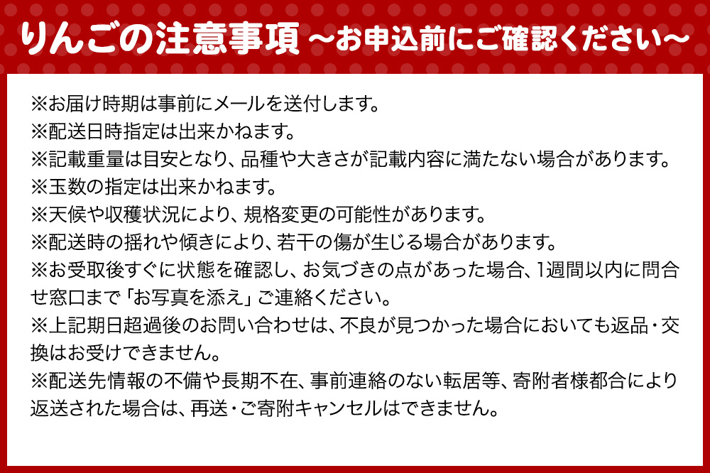 【25年11月～発送】りんご 蜜入り サンふじ（みつまるくん）約 2.5kg 糖度13度以上