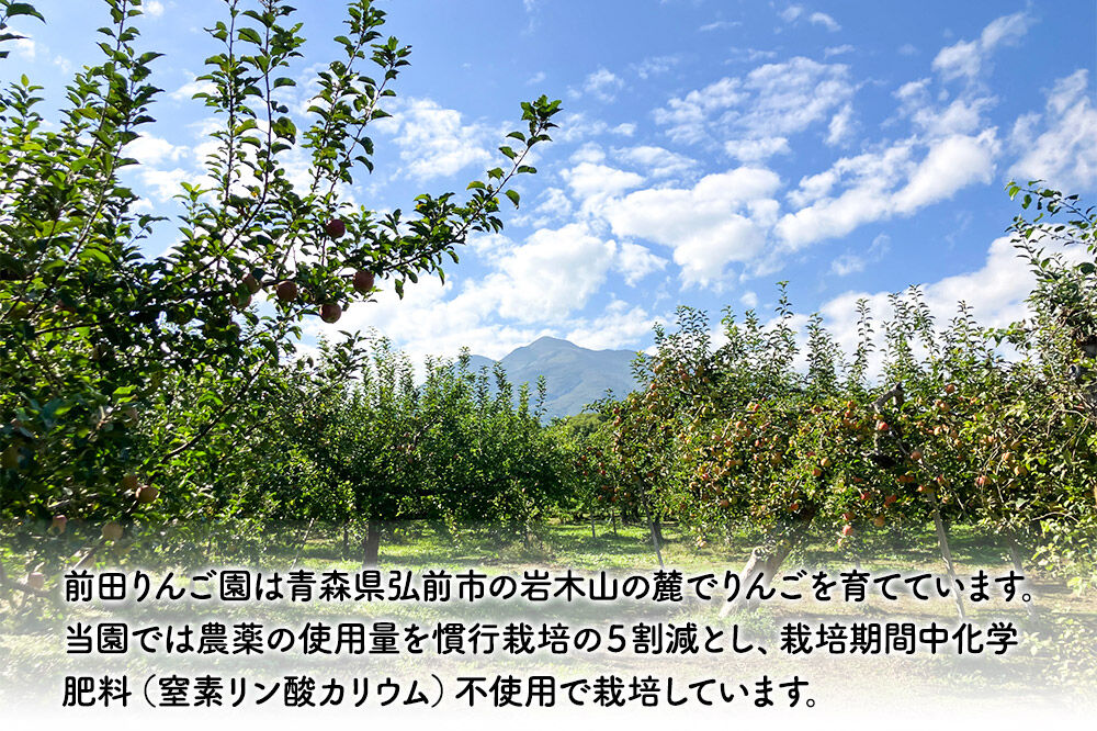【寄附金額見直しました】飲み比べ 無添加 ストレート りんごジュース 180ｍl × 12本セット 前田りんご園 リンゴ 果汁 林檎 飲料 アップル 果物 フルーツ 青森 飲み物 ドリンク