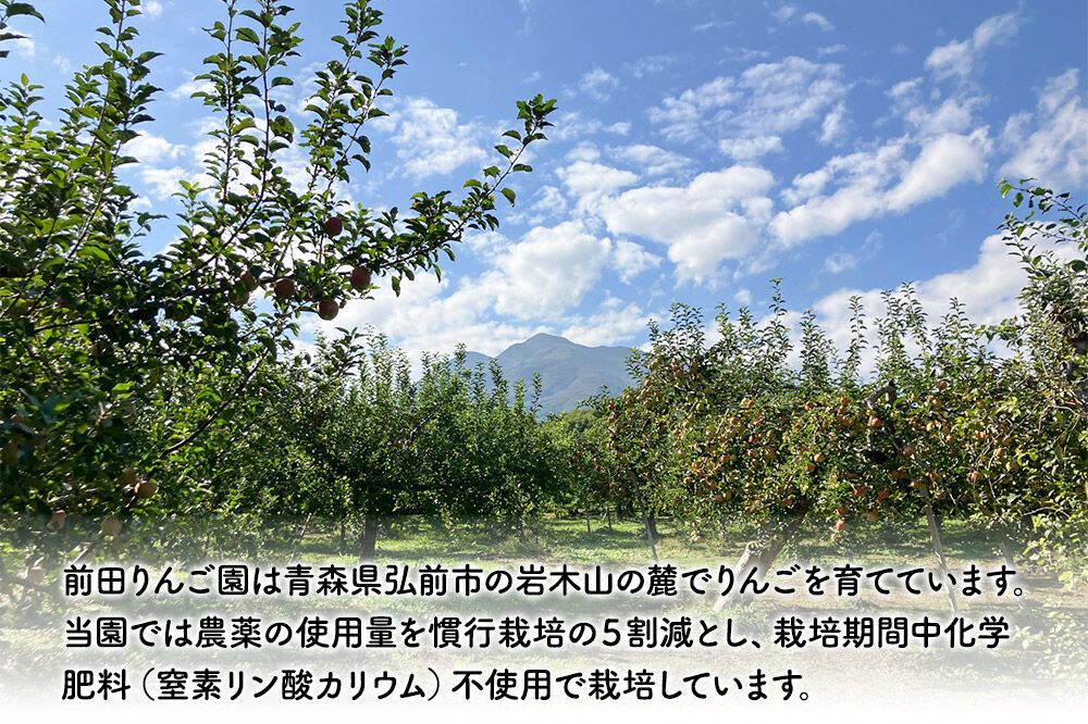 【寄附金額見直しました】りんごジャム 2品種セット 紅玉ジャム はつ恋ぐりんジャム 前田りんご園