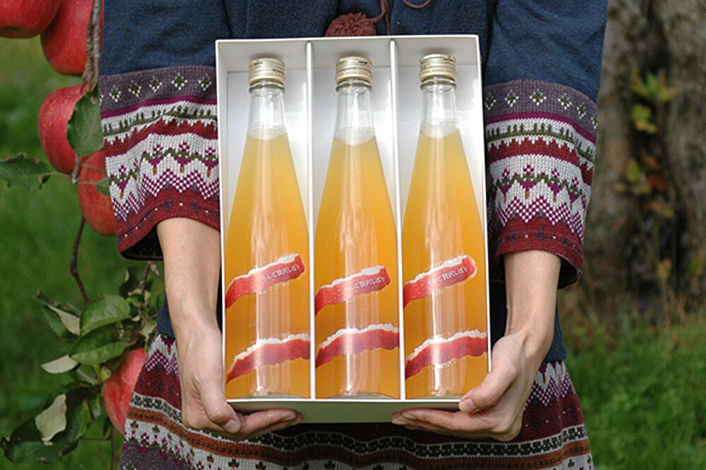 【寄附金額見直しました】りんご贅沢しぼり500ml（3本入り） 100％ストレート りんごジュース リンゴ 果汁 林檎 飲料 アップル 果物 フルーツ 青森 飲み物 ドリンク