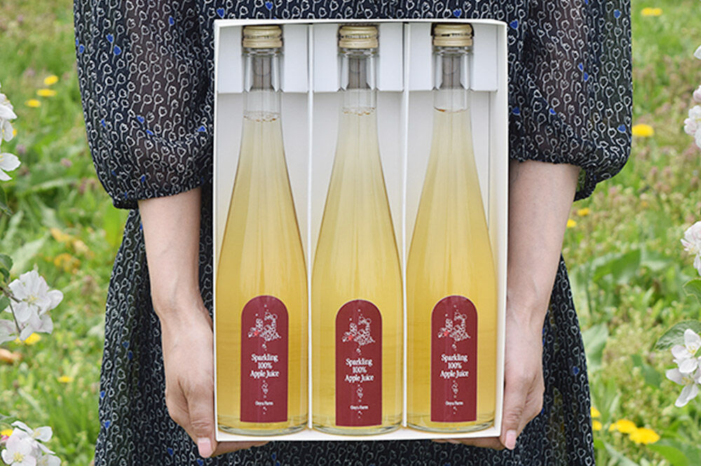 【寄附金額見直しました】スパークリング100％りんごジュース（3本入り） りんご果汁100％ リンゴ 果汁 林檎 飲料 アップル 果物 フルーツ 青森 飲み物 ドリンク