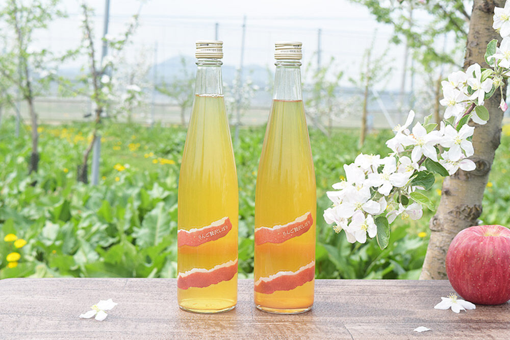 【寄附金額見直しました】りんごジュース 500ml×2本＆りんごジャム 150g×3個のギフトセット リンゴ 果汁 林檎 飲料 アップル 果物 フルーツ 青森 飲み物 ドリンク