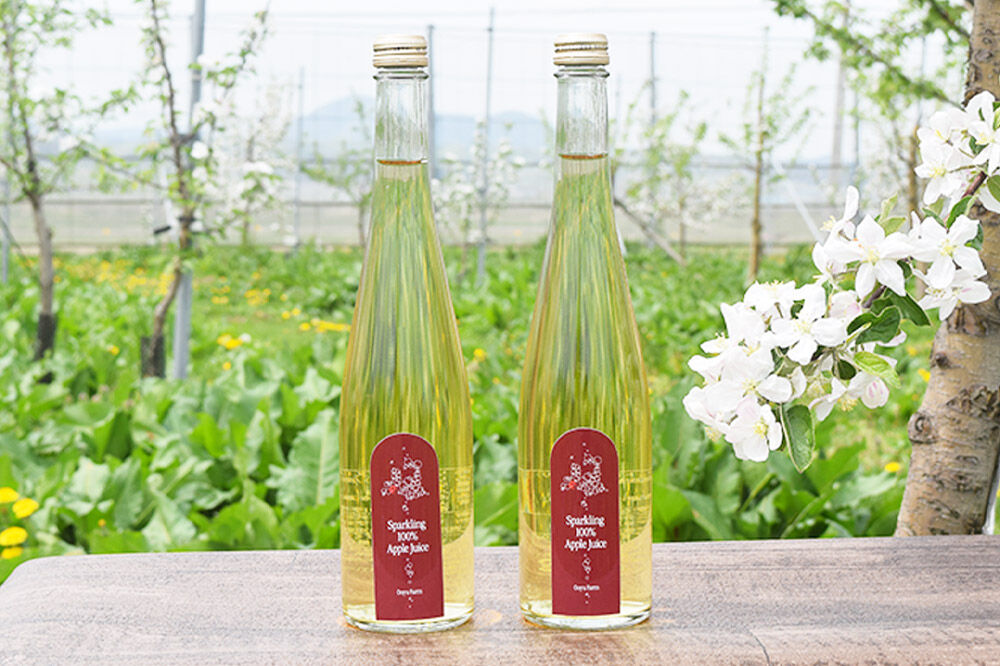 【寄附金額見直しました】スパークリングジュース 500ml×2本＆りんごジャム 150g×3個のギフトセット リンゴ 果汁 林檎 飲料 アップル 果物 フルーツ 青森 飲み物 ドリンク