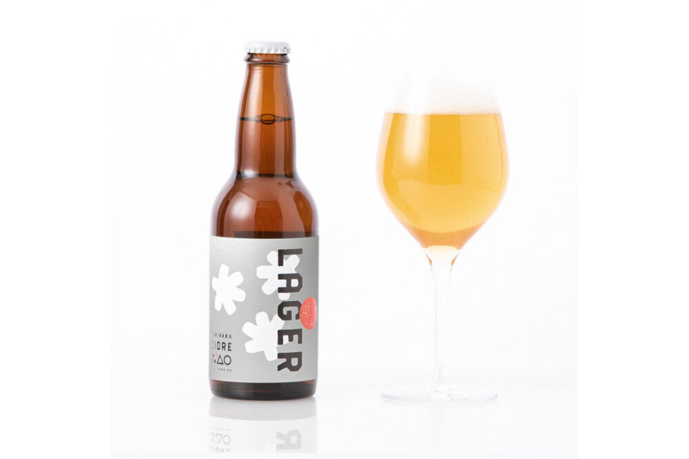 【寄附金額見直しました】未来を育てるりんごのお酒 テキカカシードル（ラガー）330ml×6本 お酒 青森 弘前 林檎 リンゴ