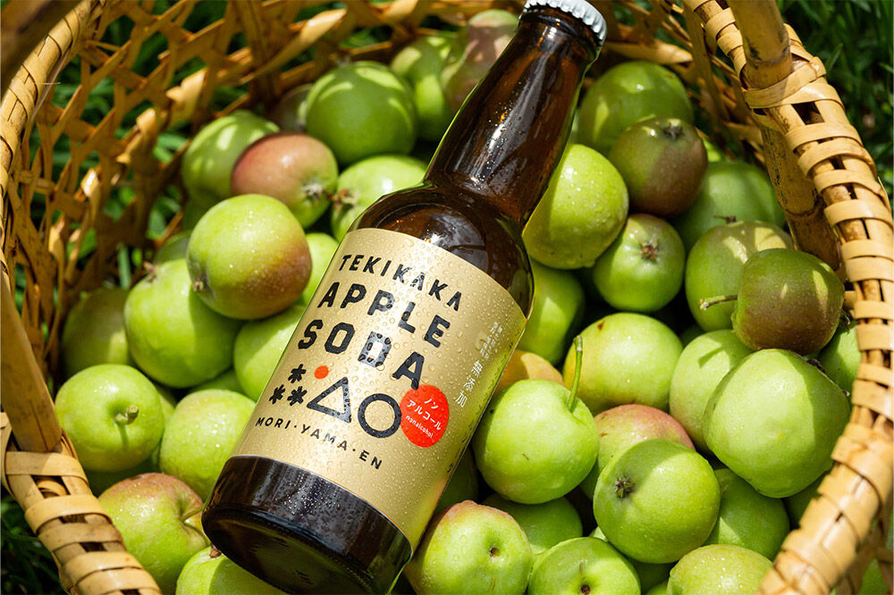 【寄附金額見直しました】摘果りんごのシードルとノンアルセット テキカカシードル（ラガー） ＆ アップルソーダ 各330ml×3本 計6本 お酒 青森 弘前 林檎 リンゴ