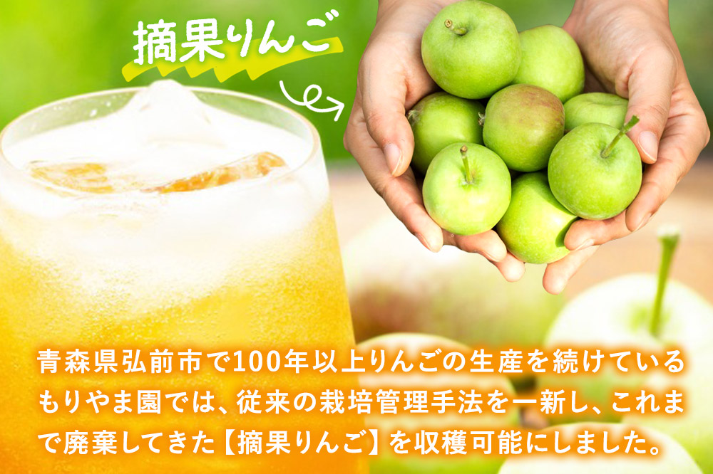 摘果りんごのアップサイクルドリンク テキカカアップルソーダ 330ml×24本 もりやま園 青森 弘前 林檎 リンゴ