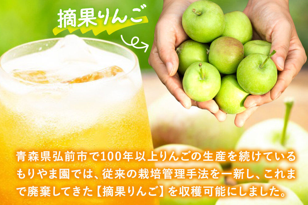 【寄附金額見直しました】摘果りんごのアップサイクルドリンク テキカカアップルソーダ 330ml×24本 もりやま園 青森 弘前 林檎 リンゴ